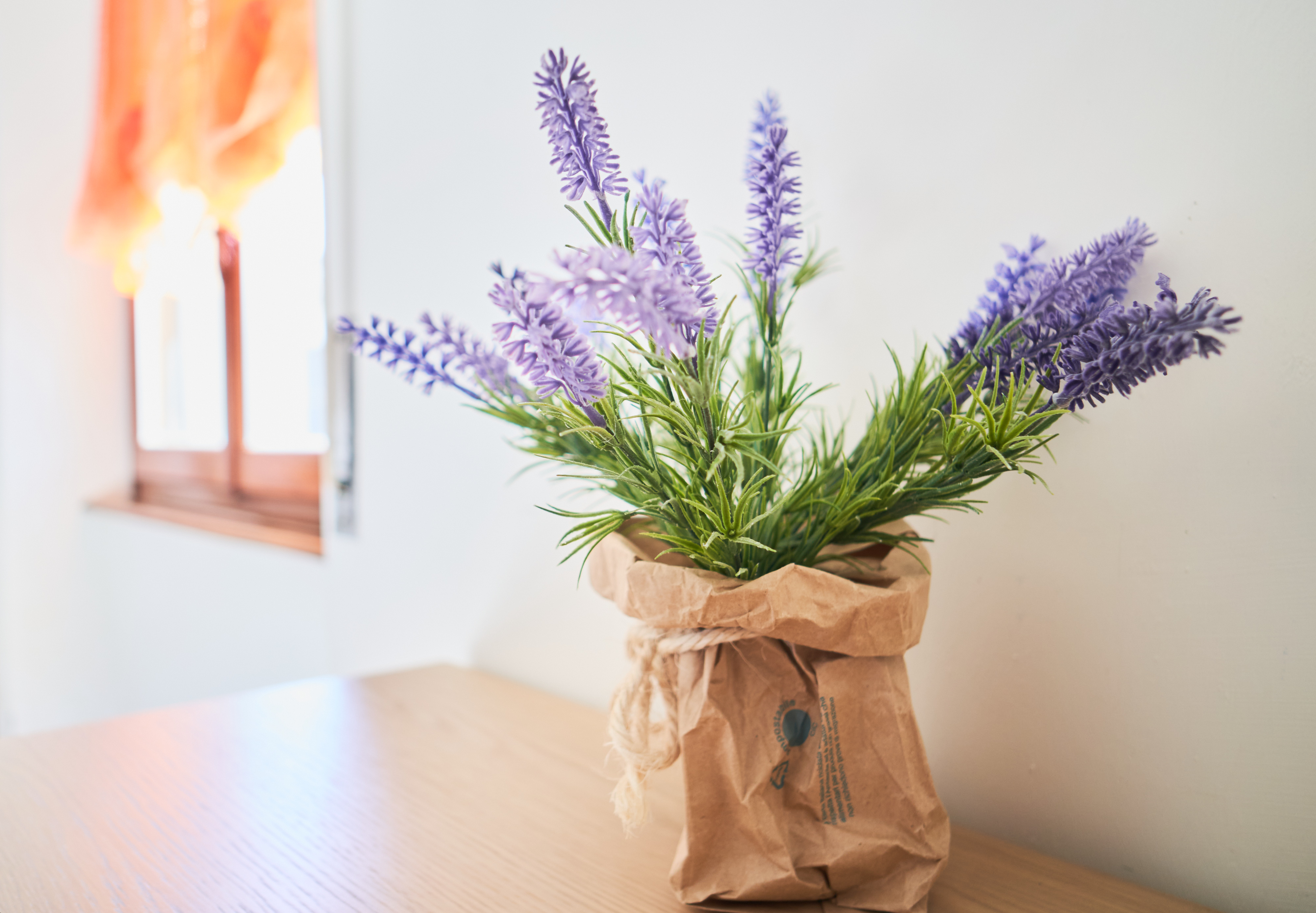 immagine fiori della casa famiglia il giardino
